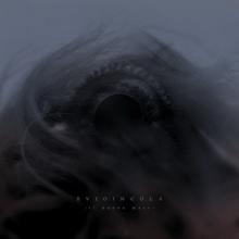 Buioingola Il nuovo mare cover