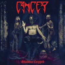 Cancer Shadow Gripped cover