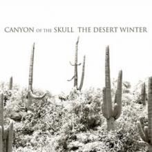 Canyon Of The Skull The Desert Winter cover