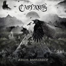 Carpatus Malus Ascendant cover