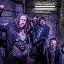Colour Of Noise band pic