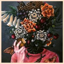 Covet effloresce cover