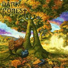 Dark Forest Beyond the Veil cover