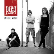 Dead Label It Burns Within single cover