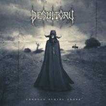 Desultory Through Aching Aeons cover