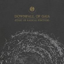 Downfall Of Gaia Ethic of Radical Finitude cover
