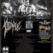 Doyle US Tour 2015 poster