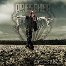 Drescher Steinfeld cover
