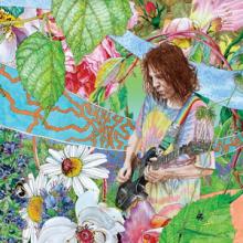 Ed Wynne Shimmer into Nature cover