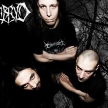 Embryo band pic 2014