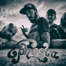 Ephedra band pic