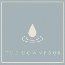 Exploring Birdsong The Downpour single cover