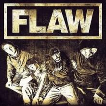 Flaw band pic