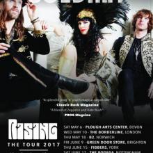 Goldray UK Tour 2017 poster