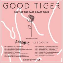 Good Tiger US Tour 2018 poster
