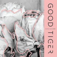 Good Tiger We Will All Be Gone cover