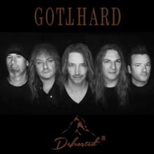 Gotthard Defrosted 2 cover