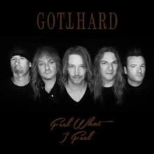 Gotthard Feel What I Feel single cover