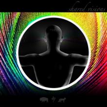 Gyre Shared Visions cover