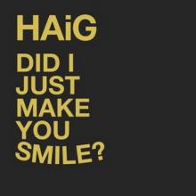 HAiG Did I Just Make You Smile? single cover