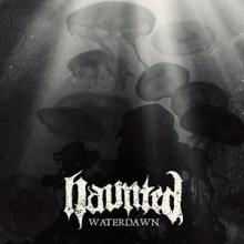 Haunted Waterdawn single cover