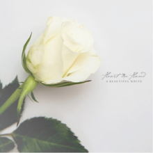 Heart In Hand A Beautiful White cover