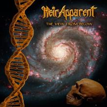 Heir Apparent The View From Below cover