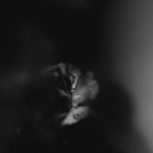 Holding Absence Like a Shadow single cover