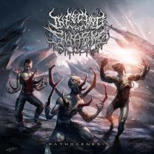 Infecting The Swarm Pathogenesis cover