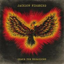 Jackson Firebird Shake the Breakdown cover