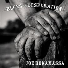 Joe Bonamassa Blues Of Desperation cover