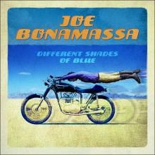 Joe Bonamassa Different Shades of Blue cover