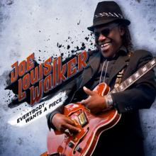 Joe Louis Walker Everybody Wants a Piece cover
