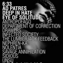 Kaotoxin Fest 1 2014 poster