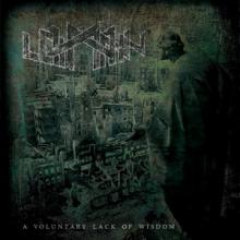 Loimann A Voluntary Lack of Wisdom cover