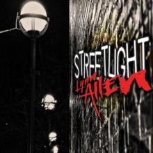 Lynn Allen Streetlight cover
