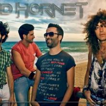 Mad Hornet band pic