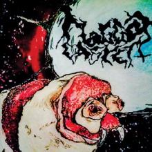 Maggot Casket cover