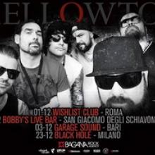 Mellowtoy December 2016 live shows poster
