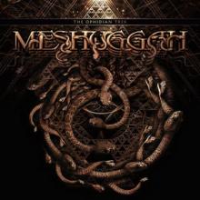 Meshuggah The Ophidian Trek cover