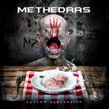 Methedras System Subversion cover