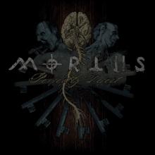 Mortiis Perfectly Defect cover