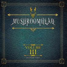 Mushroomhead Volume III DVD cover