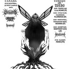 Nader Sadek tour 2014 poster