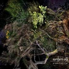 Northern Oak Of Roots and Flesh art