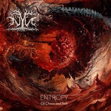 NYN Entropy: Of Chaos and Salt cover