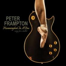 Peter Frampton Hummingbird in a Box cover