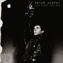 Peter Murphy Wild Birds Live Tour cover