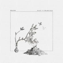 Plini Salt + Charcoal single cover