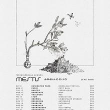 Plini Euro Tour 2018 poster